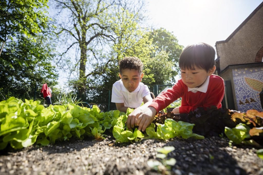 Felici e sostenibili: l’istruzione deve ripartire dal contatto con la natura, solo così avremo bambini (e adulti) felici